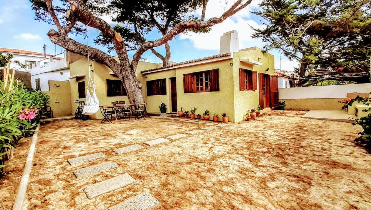 New - Tree House At Golden Island Porto Santo