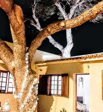 Beach Tree House Porto Santo Exterior foto