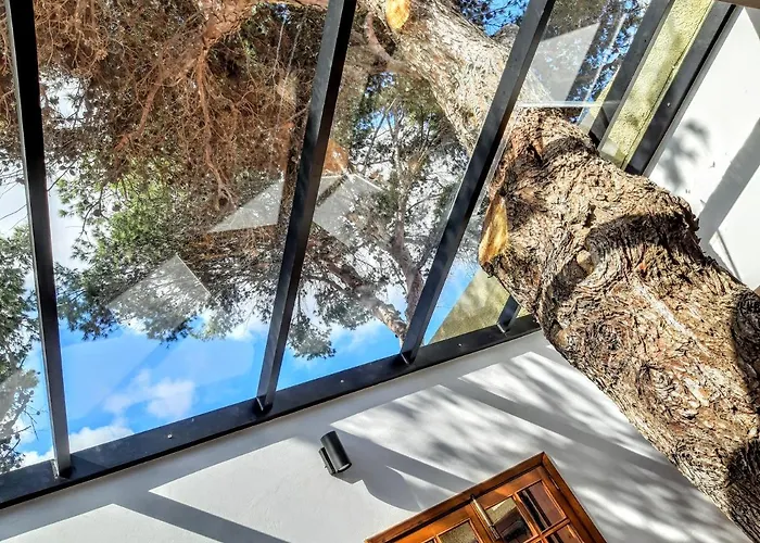 Beach Tree House