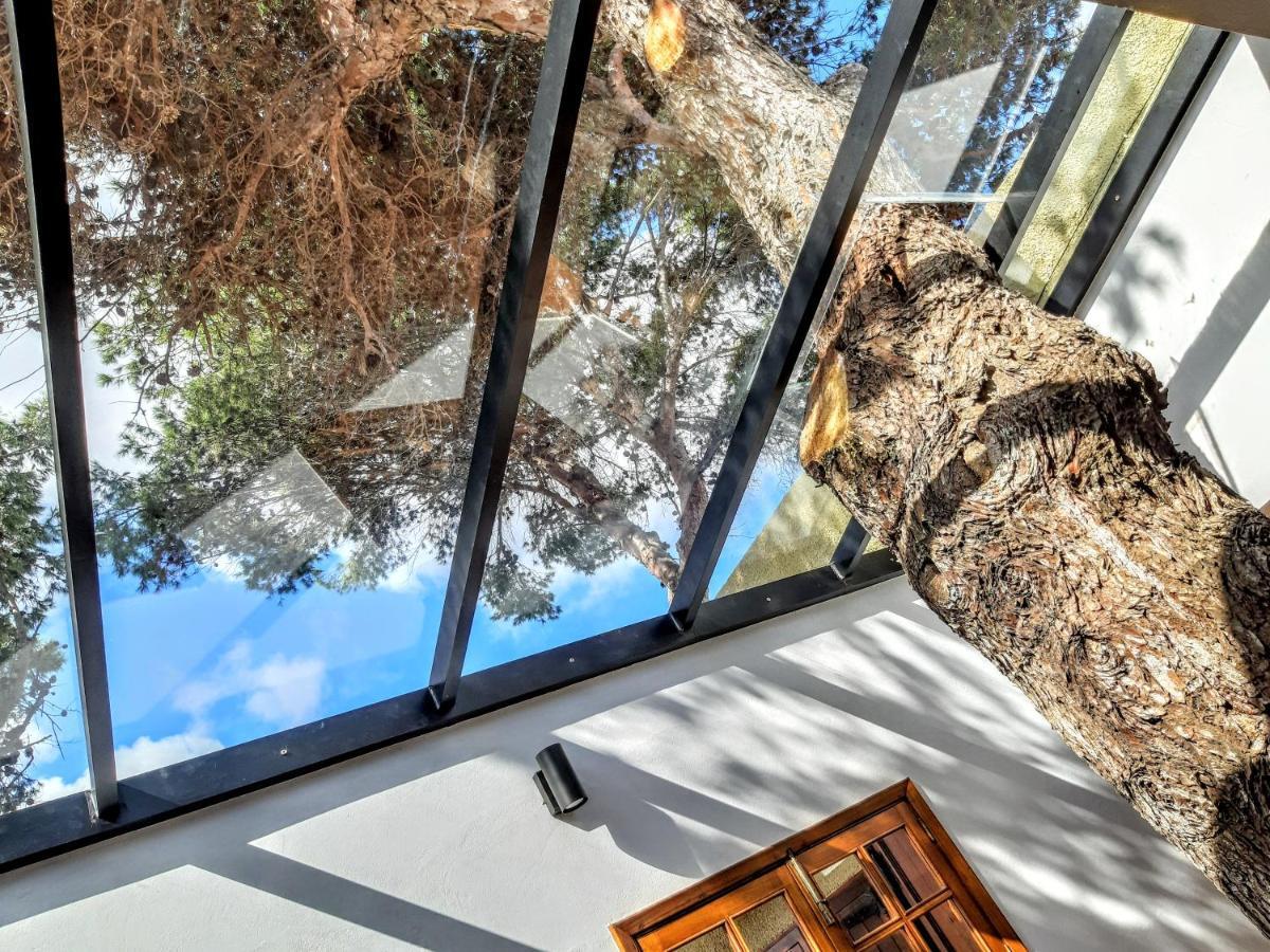Tree House