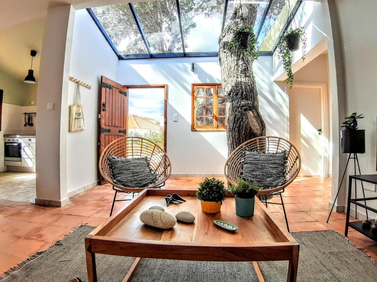 Tree House *